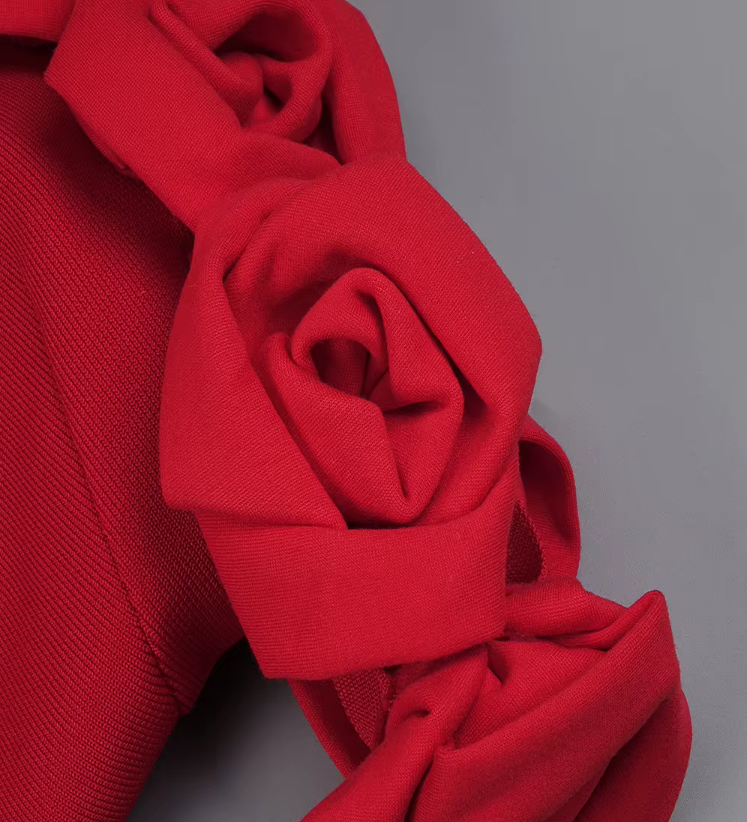 LITTLE RED BODYCON DRESS